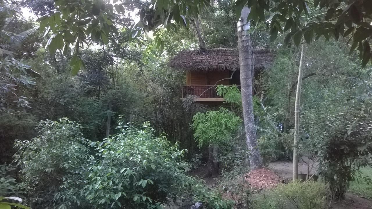 Tree House-Midigama Villa Weligama Eksteriør billede