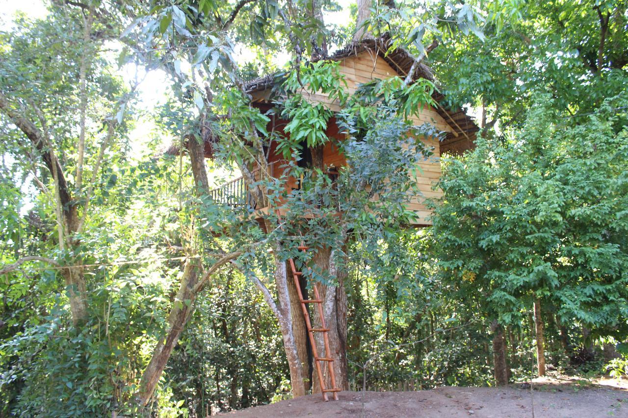 Tree House-Midigama Villa Weligama Eksteriør billede