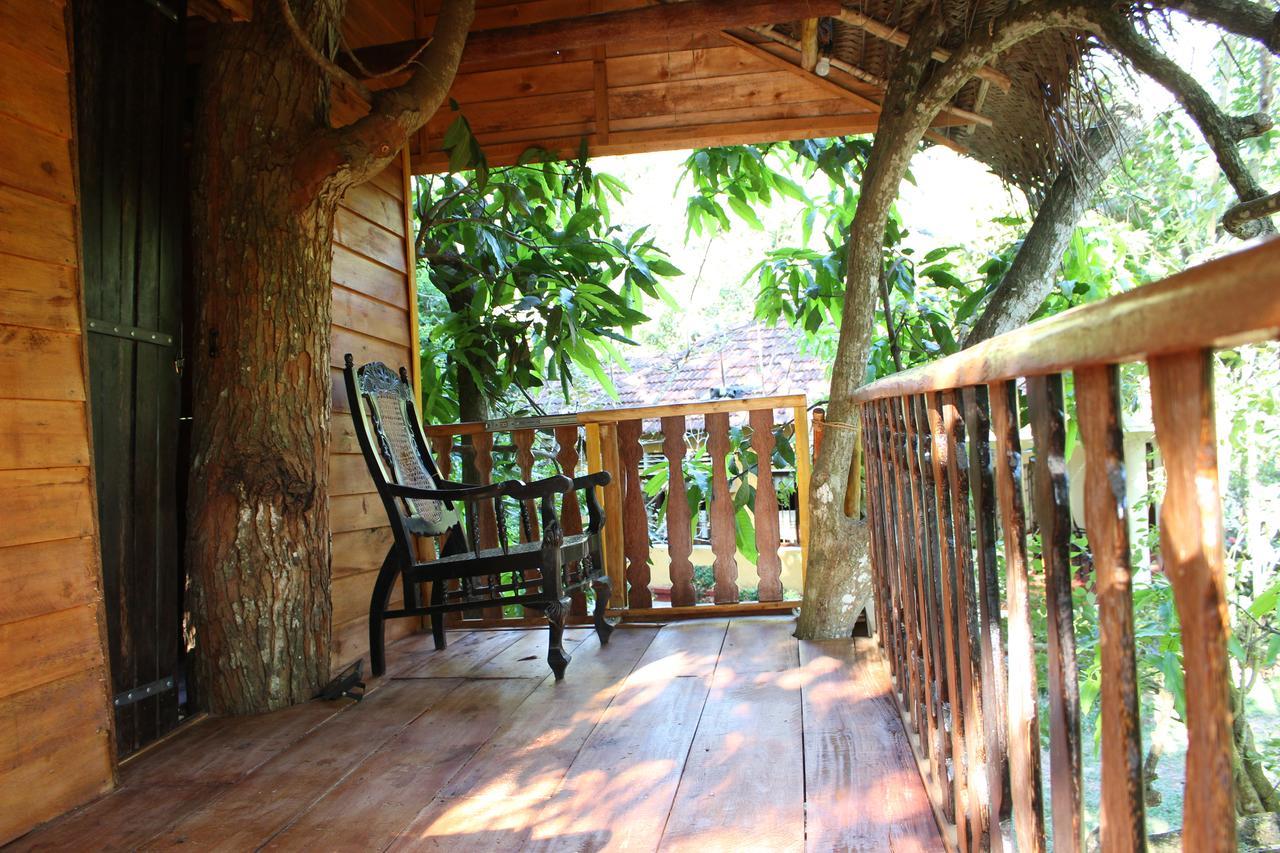 Tree House-Midigama Villa Weligama Eksteriør billede