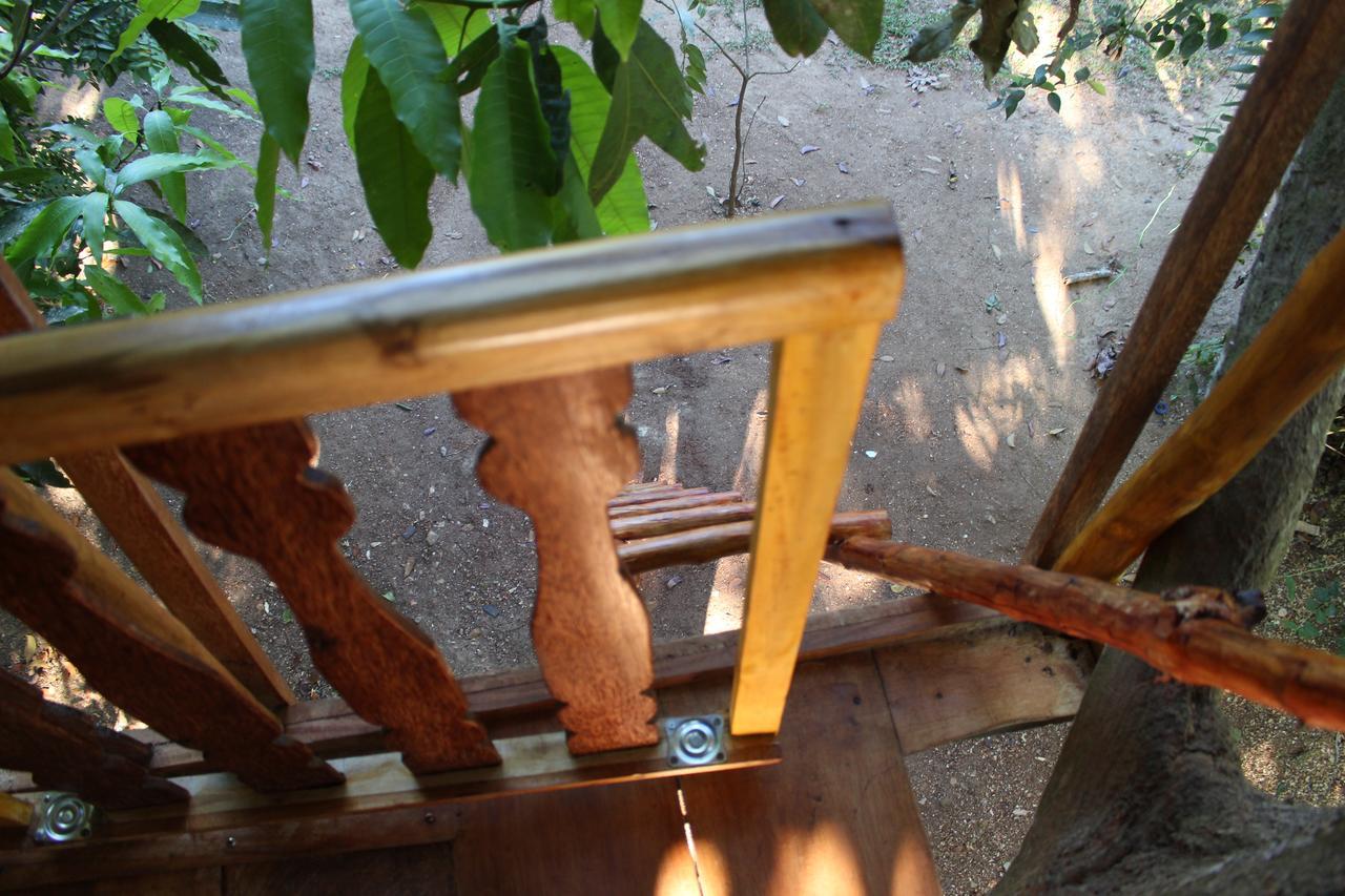 Tree House-Midigama Villa Weligama Eksteriør billede