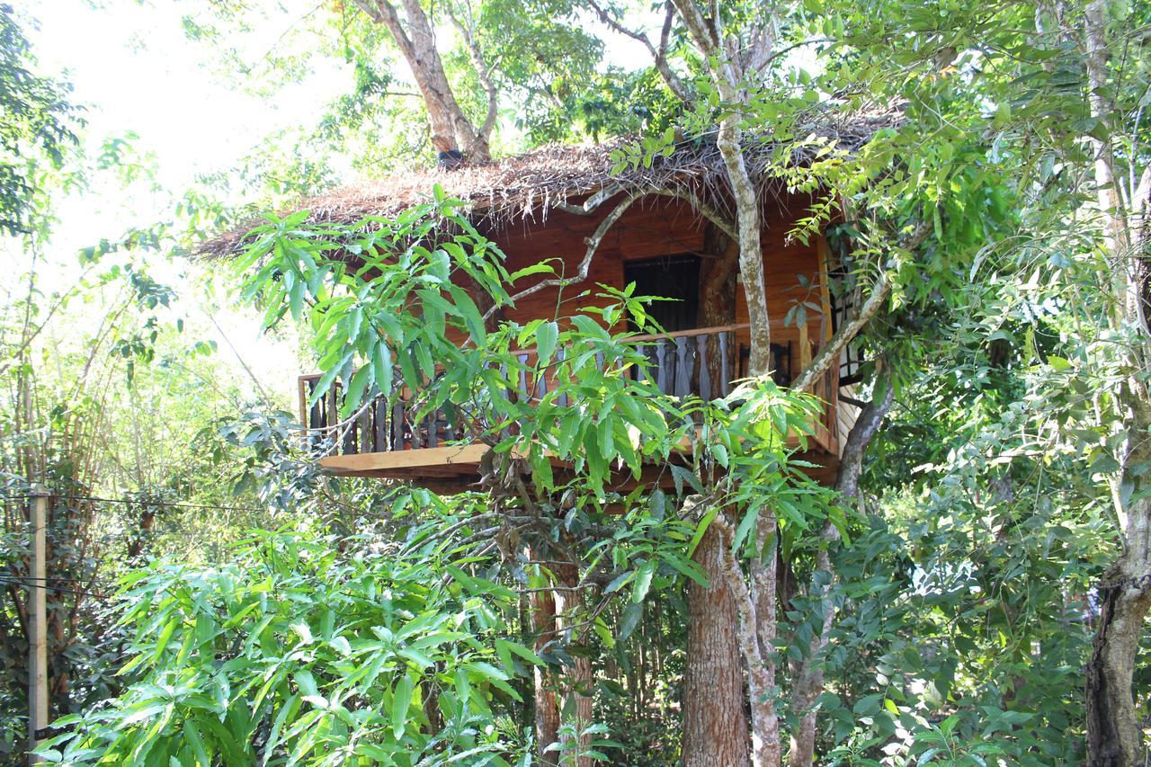 Tree House-Midigama Villa Weligama Eksteriør billede