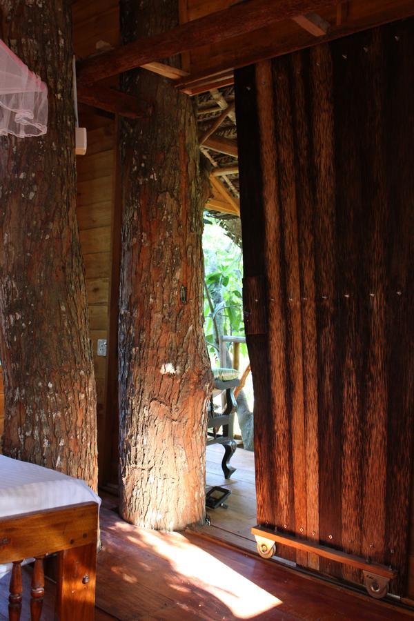 Tree House-Midigama Villa Weligama Eksteriør billede