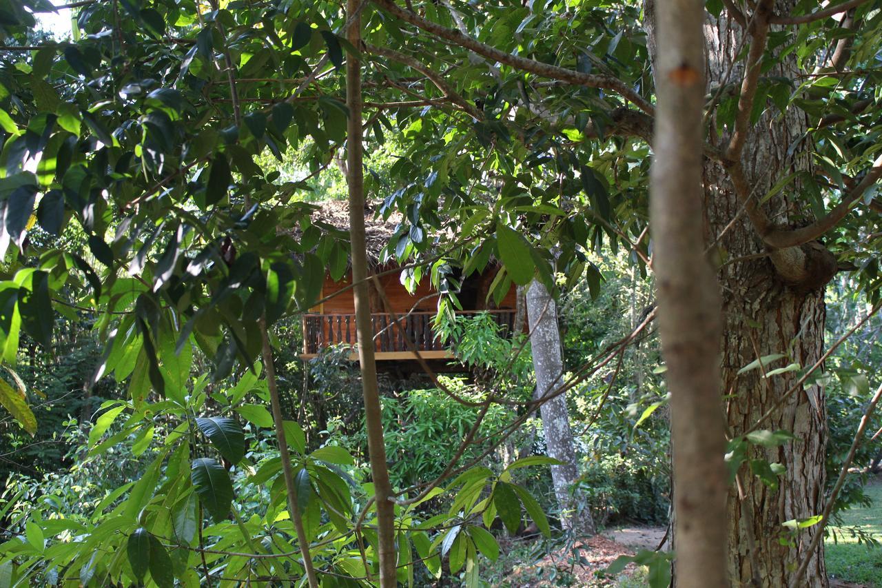 Tree House-Midigama Villa Weligama Eksteriør billede