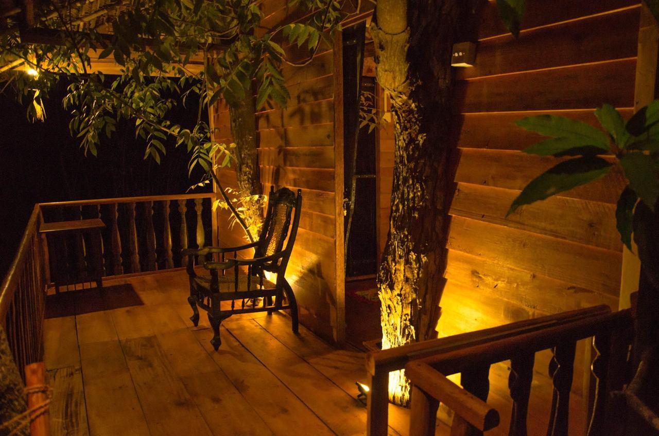 Tree House-Midigama Villa Weligama Eksteriør billede