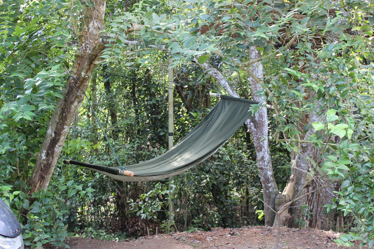 Tree House-Midigama Villa Weligama Eksteriør billede
