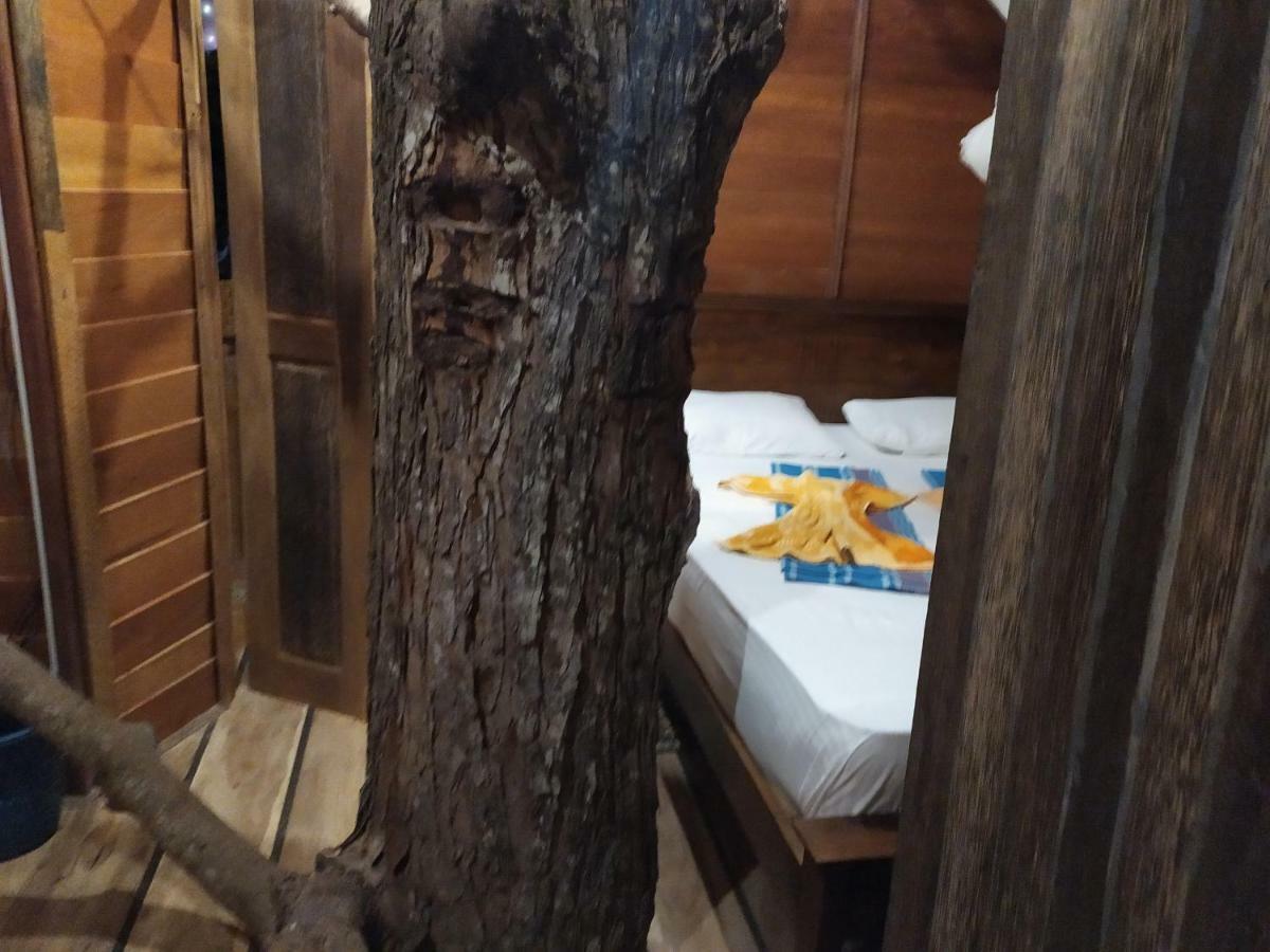 Tree House-Midigama Villa Weligama Eksteriør billede