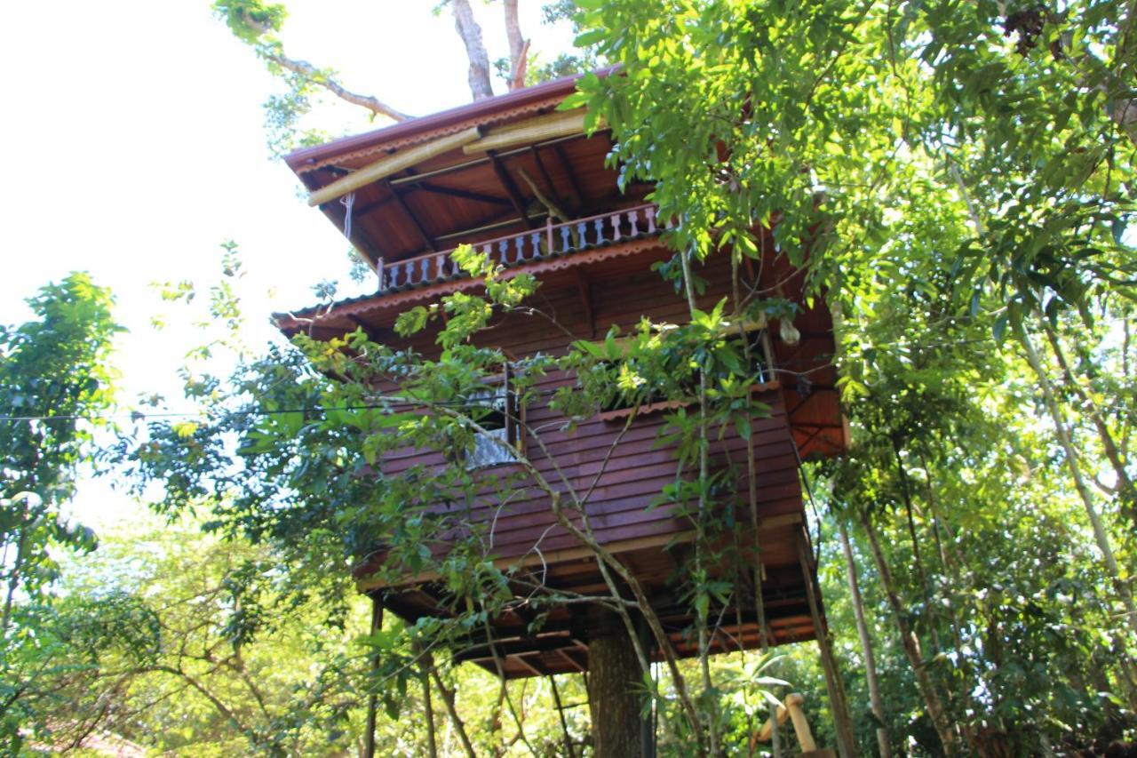 Tree House-Midigama Villa Weligama Eksteriør billede