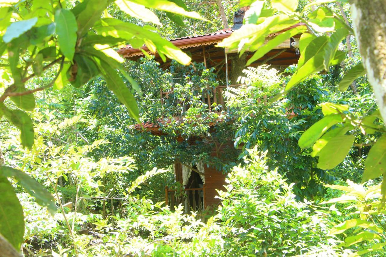 Tree House-Midigama Villa Weligama Eksteriør billede