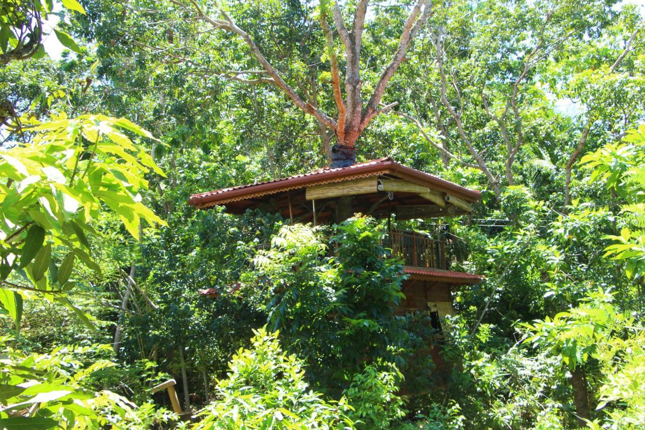 Tree House-Midigama Villa Weligama Eksteriør billede