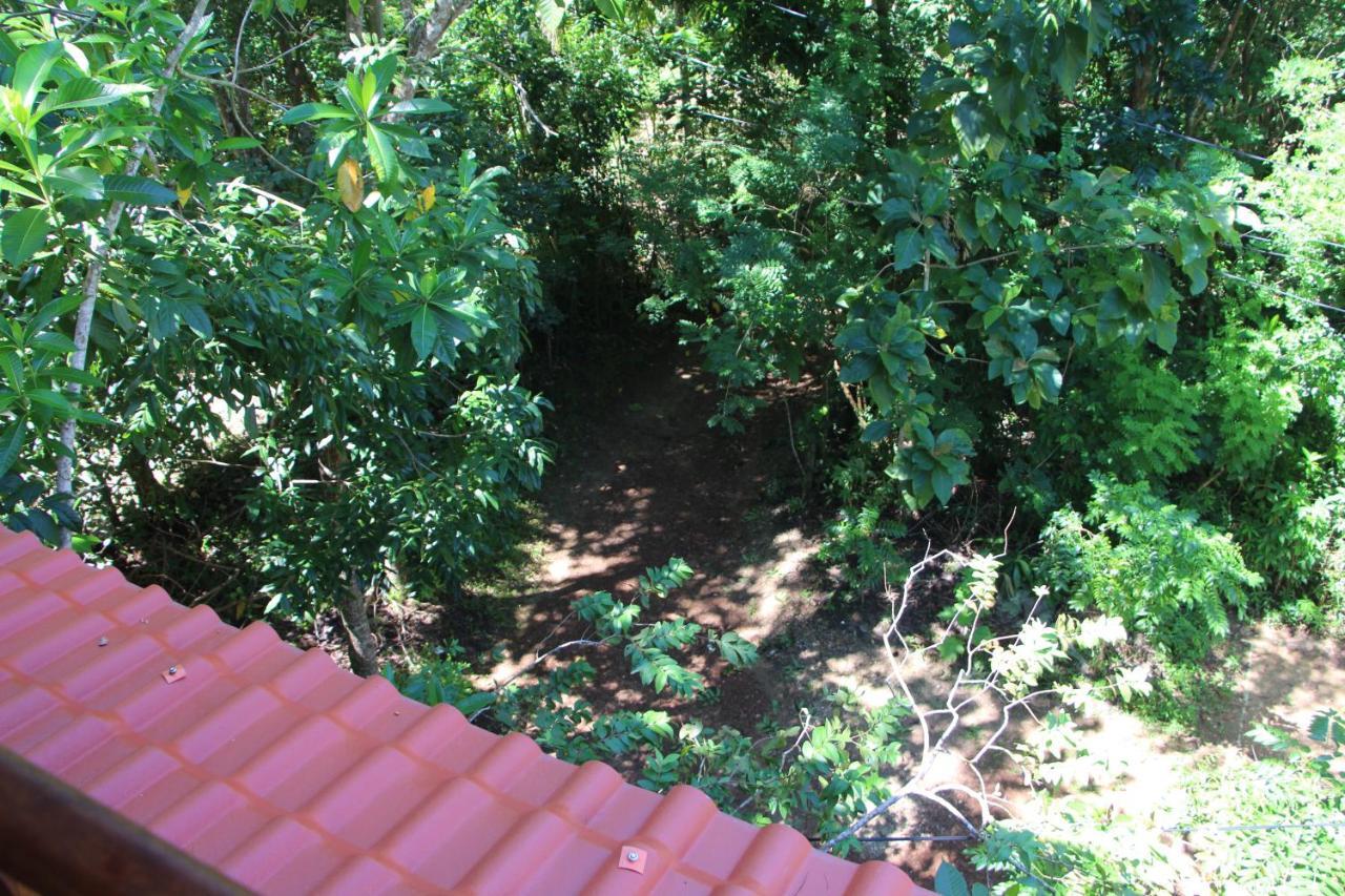 Tree House-Midigama Villa Weligama Eksteriør billede