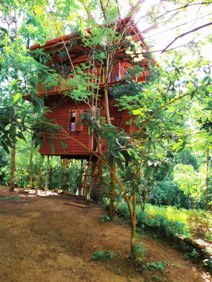 Tree House-Midigama Villa Weligama Eksteriør billede